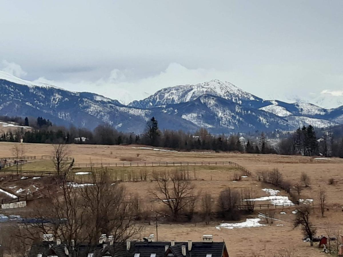 Willa U Magdy Zakopane Bagian luar foto