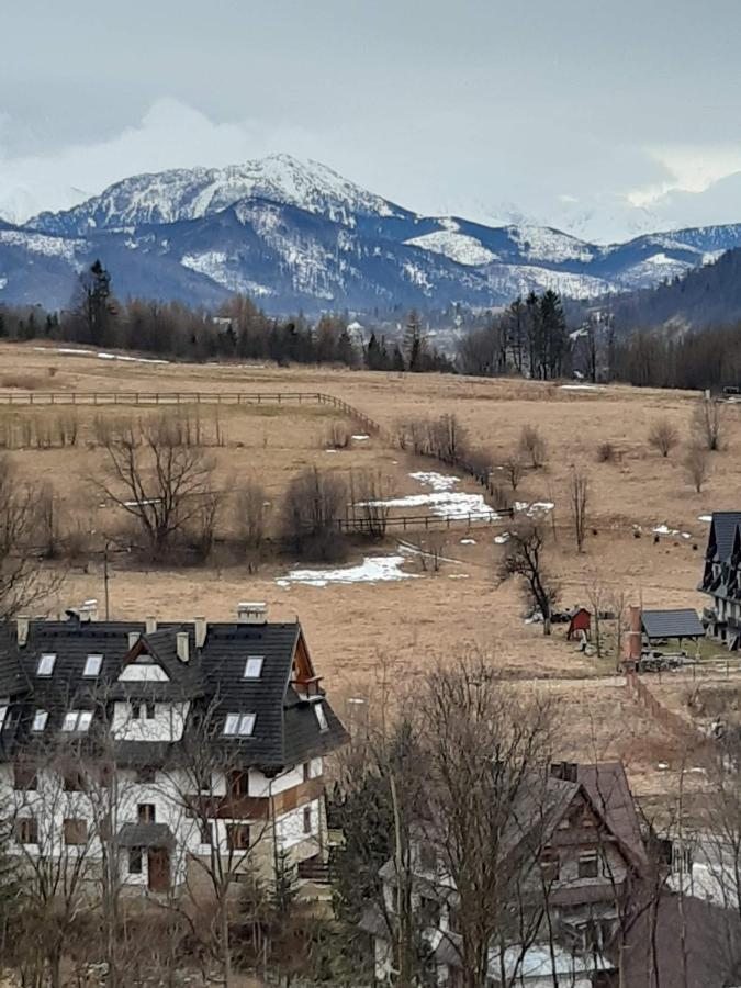 Willa U Magdy Zakopane Bagian luar foto