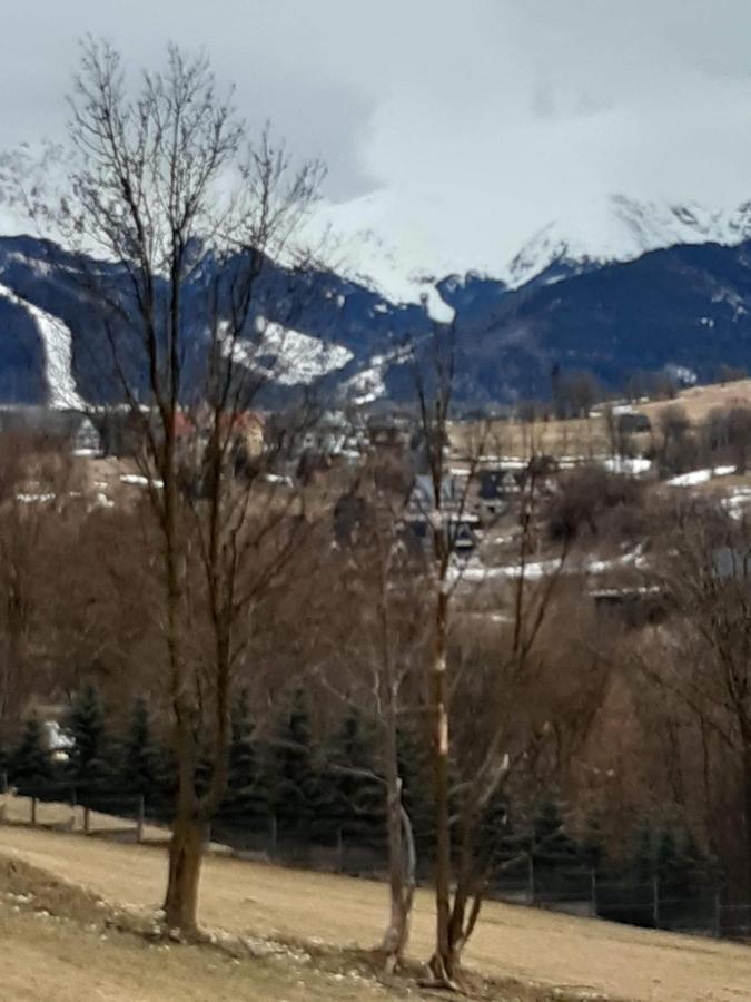 Willa U Magdy Zakopane Bagian luar foto