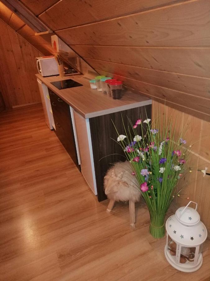 Willa U Magdy Zakopane Bagian luar foto